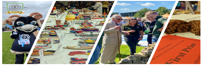 YFYFC Banner 2024 Mailer Lite